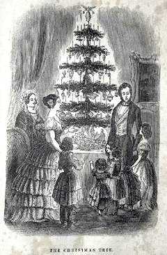 Le sapin de Noël a été introduit en Angleterre