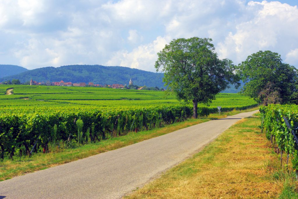 La R Gion Historique Et Culturelle Alsace Mon Grand Est