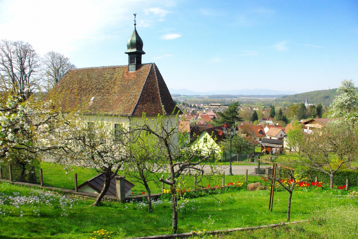 Photos de printemps en Alsace : Hirtzbach © French Moments