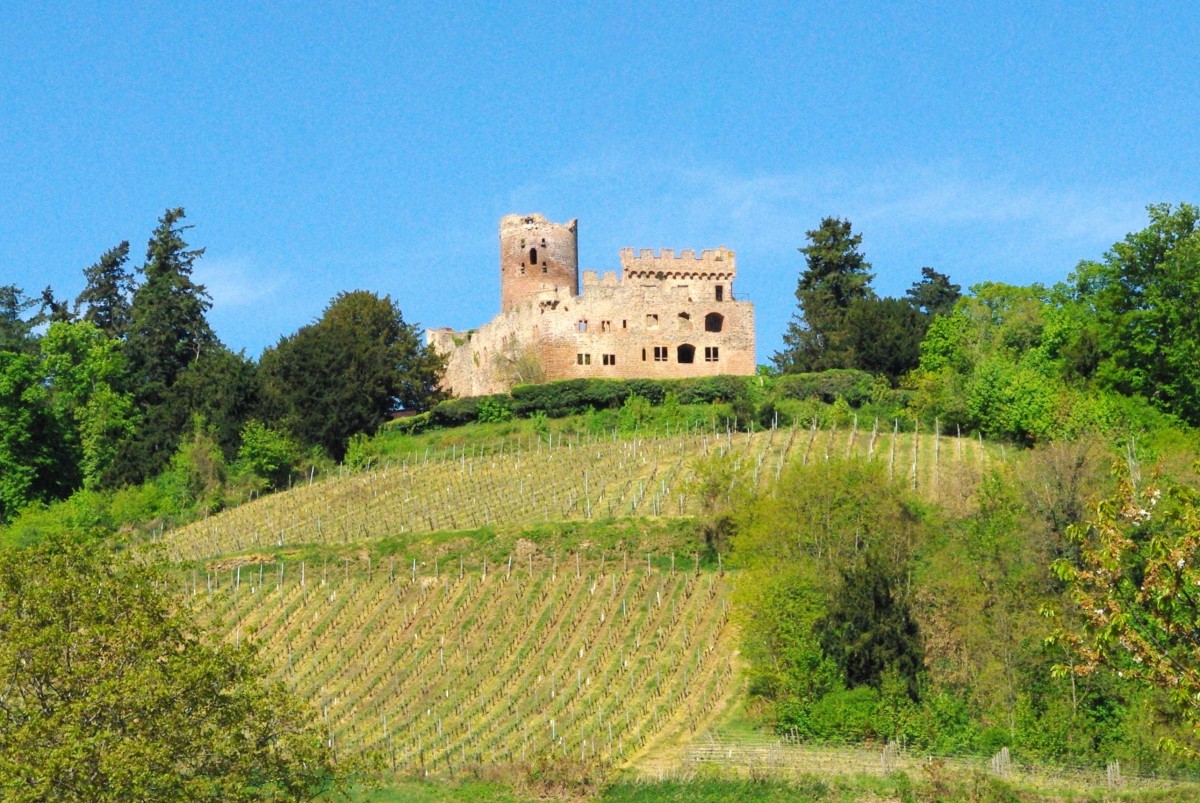 Châteaux-forts d'Alsace Kintzheim