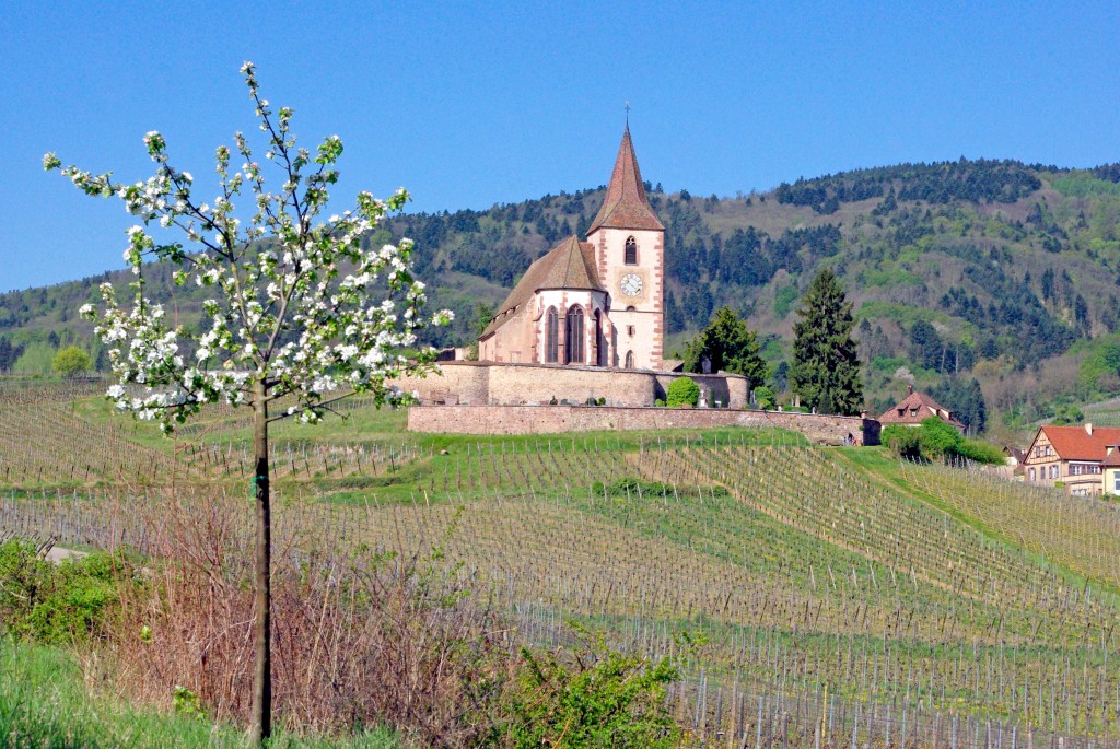 Hunawihr et son église fortifiée au printemps © French Moments