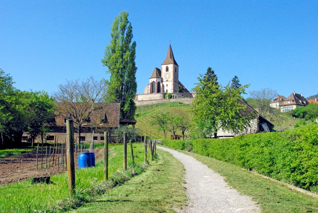 Photos de printemps en Alsace : Hunawihr et son église fortifiée © French Moments