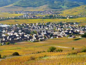 Kaysersberg-Vignoble