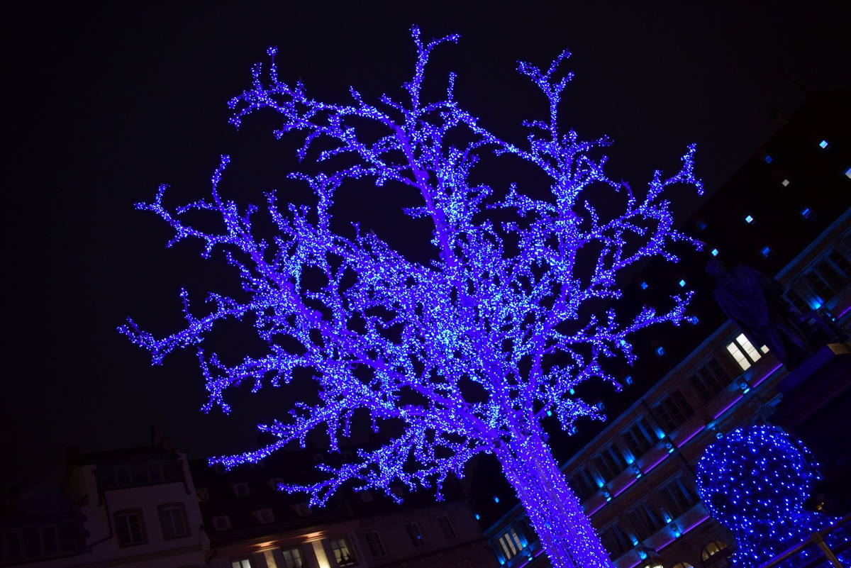 L'arbre bleu de la place Gutenberg © French Moments