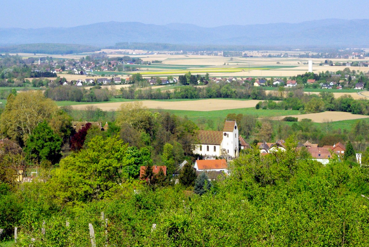 Campagne alsacienne - Heidwiller Sundgau Alsace