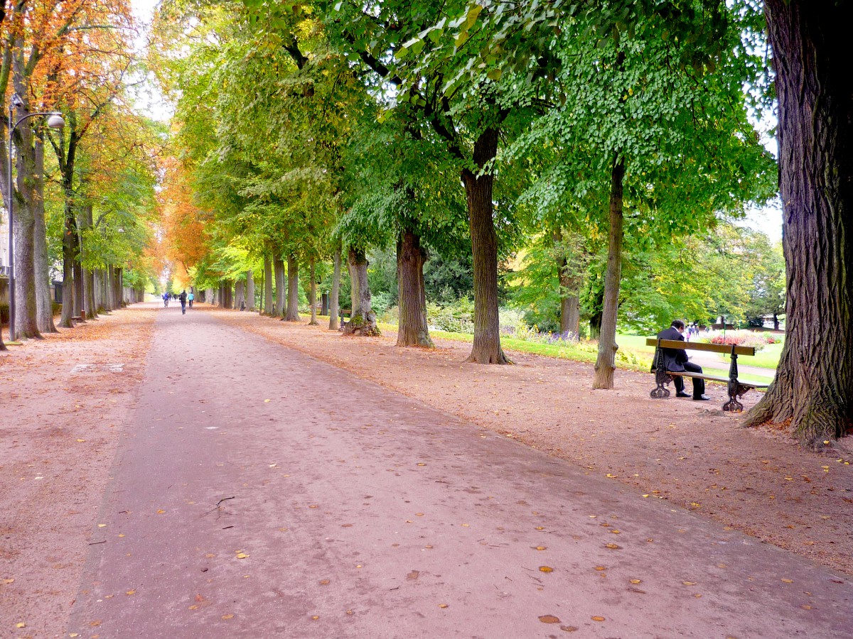 Nancy : la Foire d'automne bientôt de retour au cœur du Parc la Pépinière