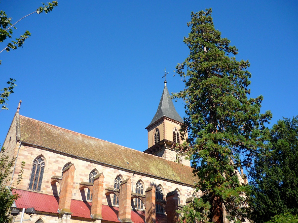 Ribeauvillé Alsace