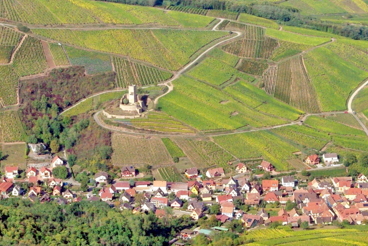Châteaux-forts d'Alsace Wineck Katzenthal