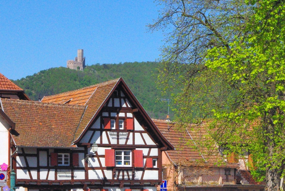 Châteaux-forts d'Alsace Ortenbourg
