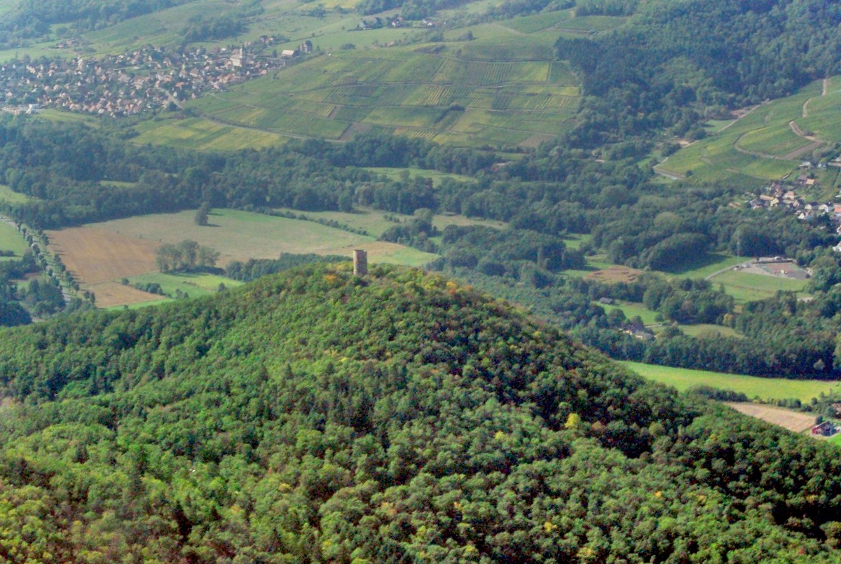 Châteaux-forts d'Alsace Pflixbourg