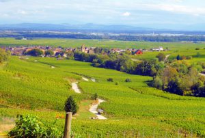 Ammerschwihr, Alsace © French Moments