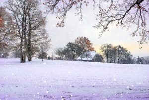 Neige à Groisy © French Moments