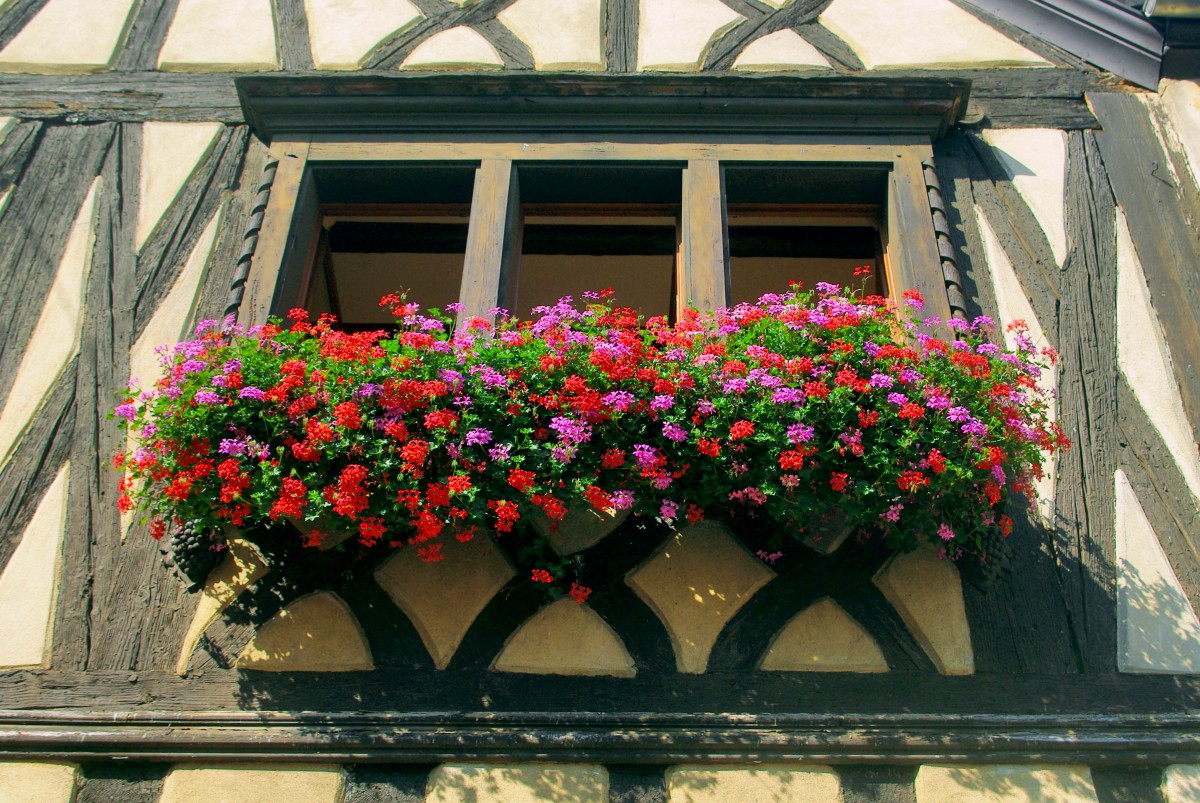 Fenêtre fleurie, mairie de Niedermorschwihr © French Moments