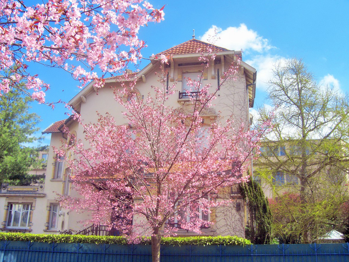 Nancy Art Nouveau Spring © French Moments Art Nouveau à Nancy © French Moments