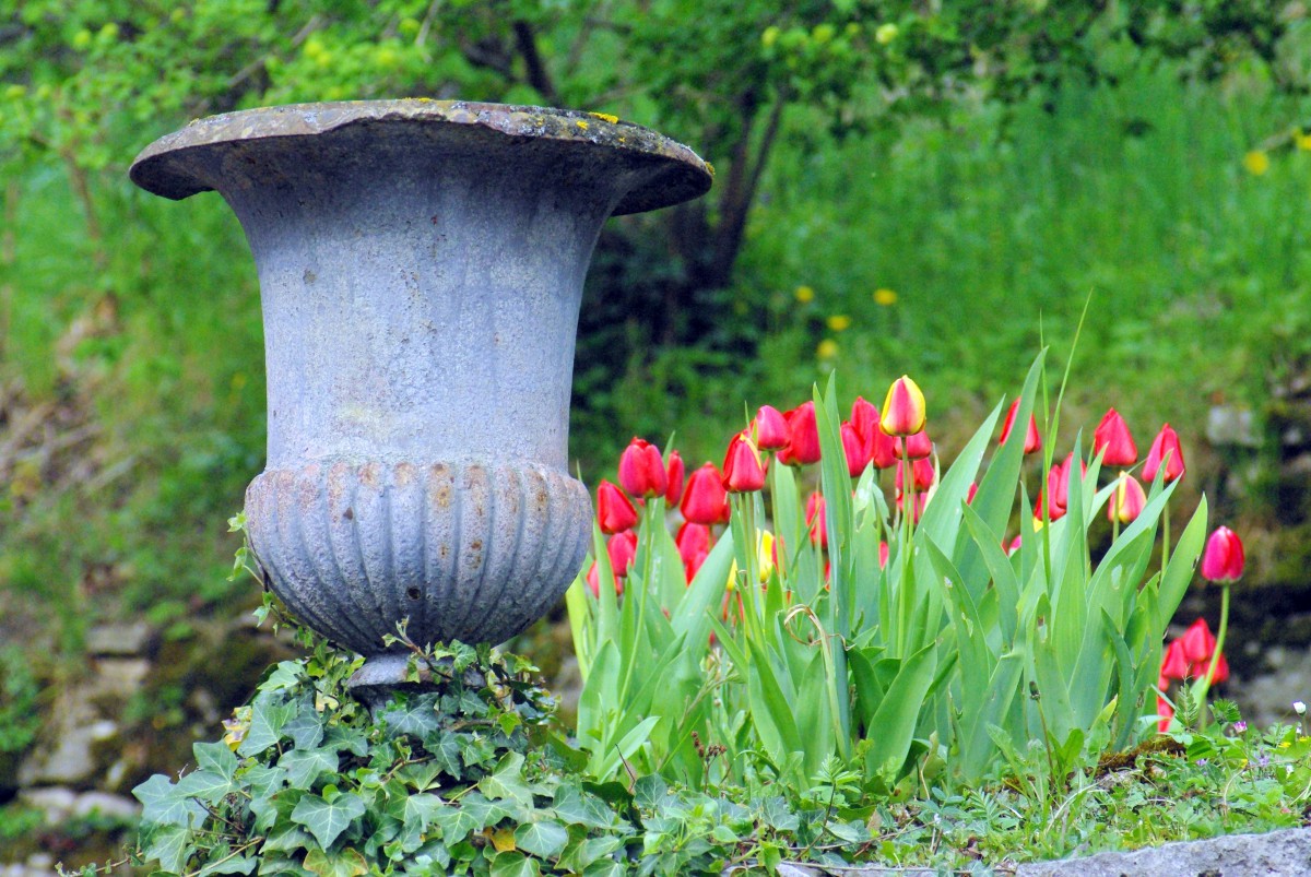 Photo de printemps en Alsace : à Ferrette © French Moments