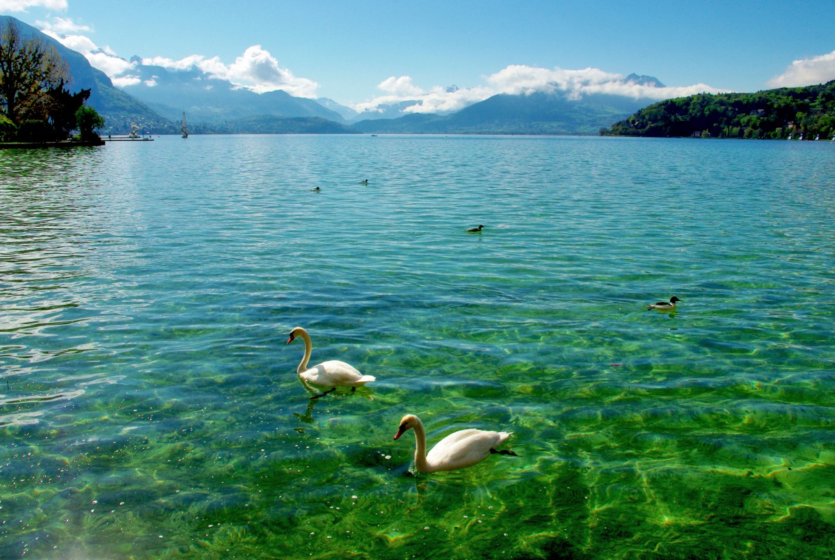 Lac d'Annecy © French Moments