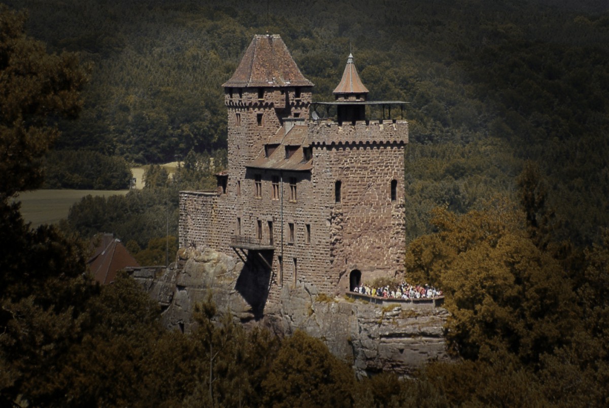 Le château du Berwartstein - Hans Trapp © Ulli1105 - licence [CC BY-SA 3.0] from Wikimedia Commons