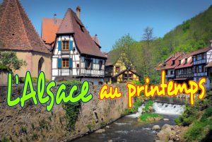 L'Alsace au printemps (Kaysersberg) © French Moments