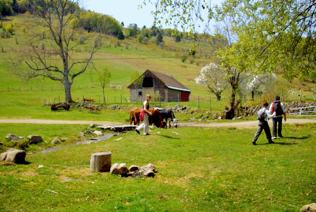 Vosges Printemps 03 © French Moments Sur les hauteurs de Rimbach-près-Masevaux © French Moments