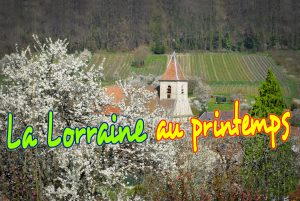 Lorraine au printemps © French Moments