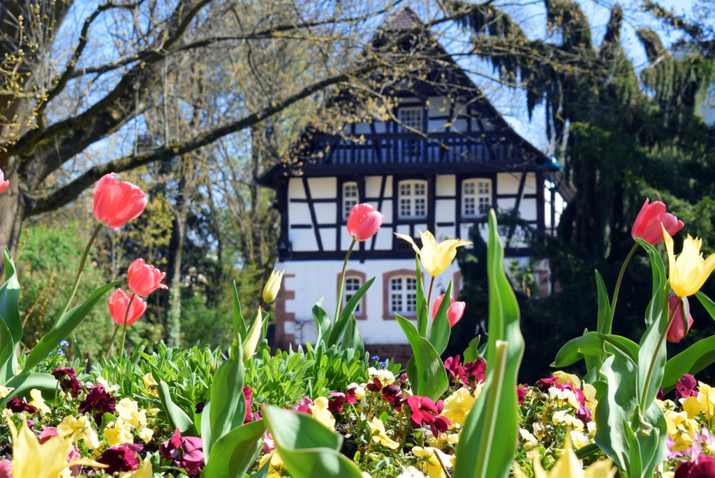 La Maison alsacienne du Parc Sainte-Marie à Nancy © French Moments
