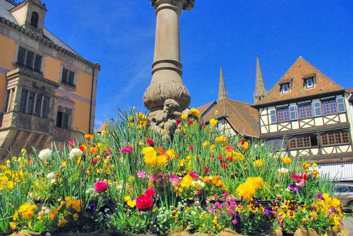 Photos de printemps en Alsace : Obernai © French Moments