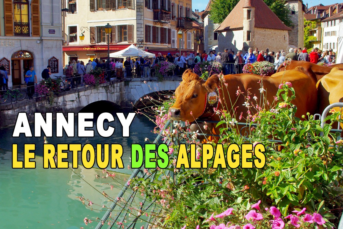 Retour des Alpages à Annecy © French Moments