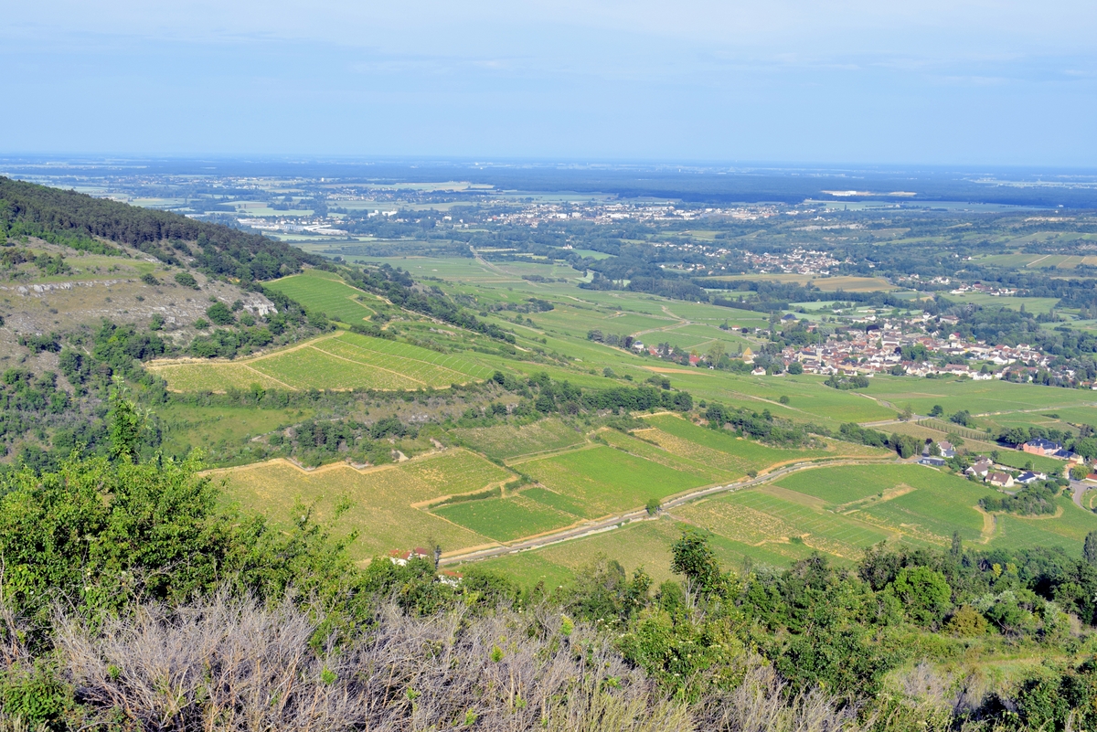 Le vignoble de Santenay vu du mont de Sène © French Moments