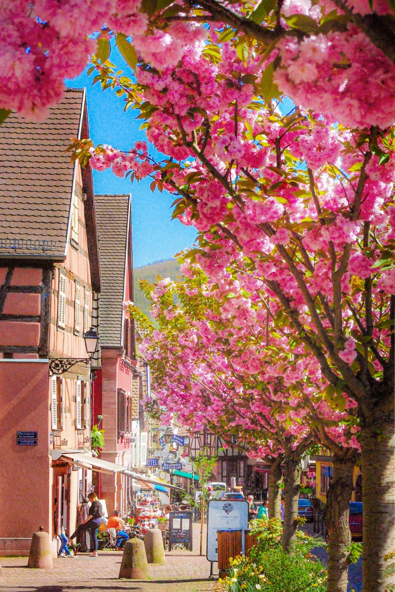 Photos de printemps en Alsace - Kaysersberg © French Moments
