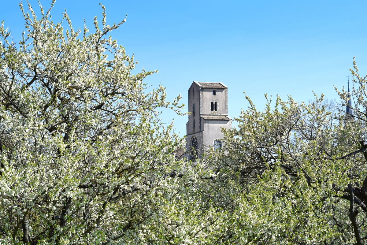 Photos de printemps en Lorraine - Bruley © French Moments