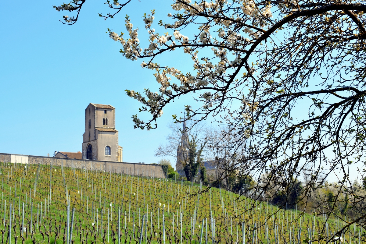 Photos de printemps en Lorraine - Bruley © French Moments