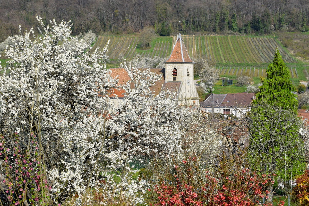Photos de printemps en Lorraine - Lucey © French Moments