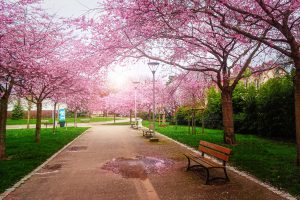 Au parc Charles III de Nancy quelques jours avant le confinement de la population française © French Moments