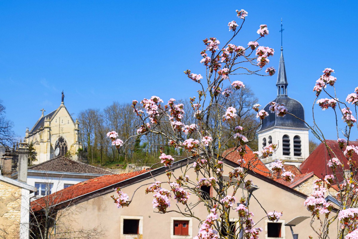 Photos de printemps en Lorraine - Vaucouleurs © French Moments