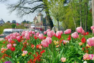 Le printemps s'invite aux jardins de l'Europe à Annecy © French Moments