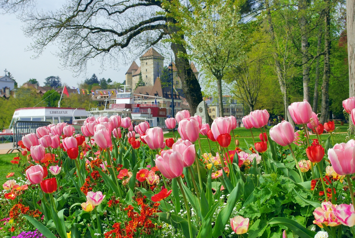 Le printemps s'invite aux jardins de l'Europe à Annecy © French Moments