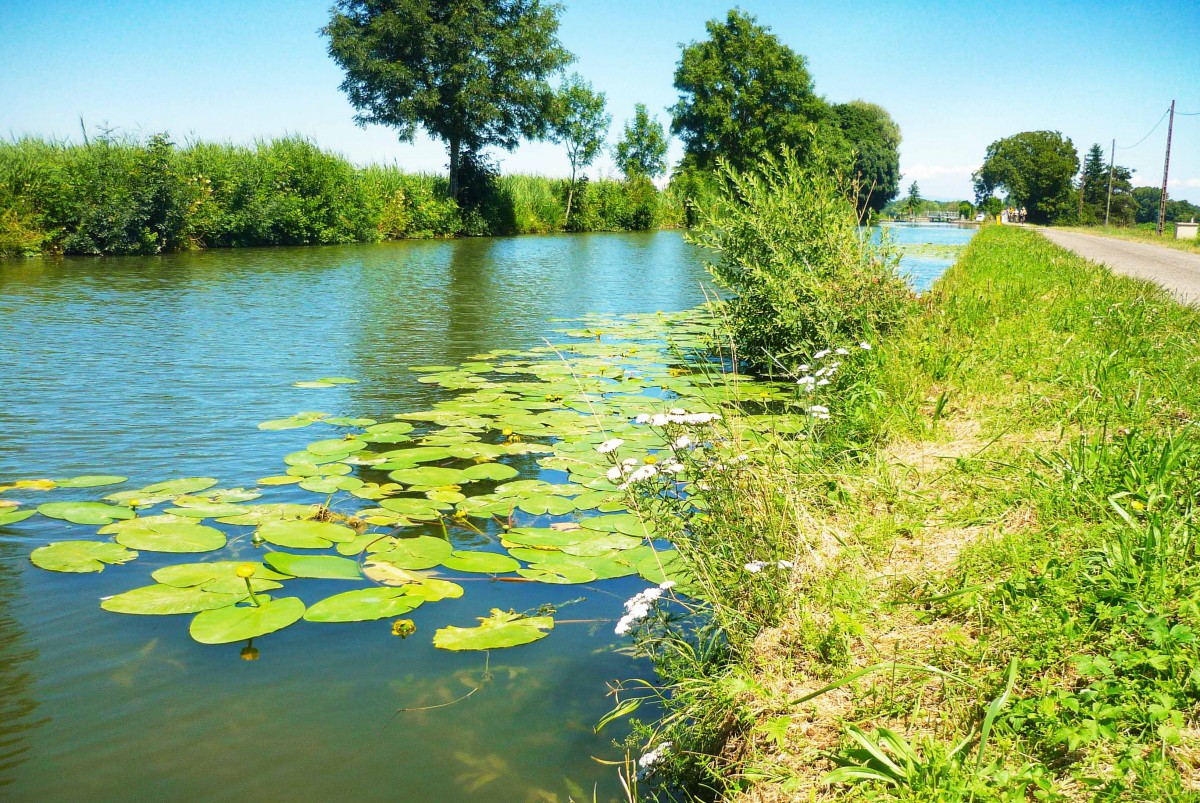 L'Alsace à vélo : le long du Canal du Rhône au Rhin © French Moments