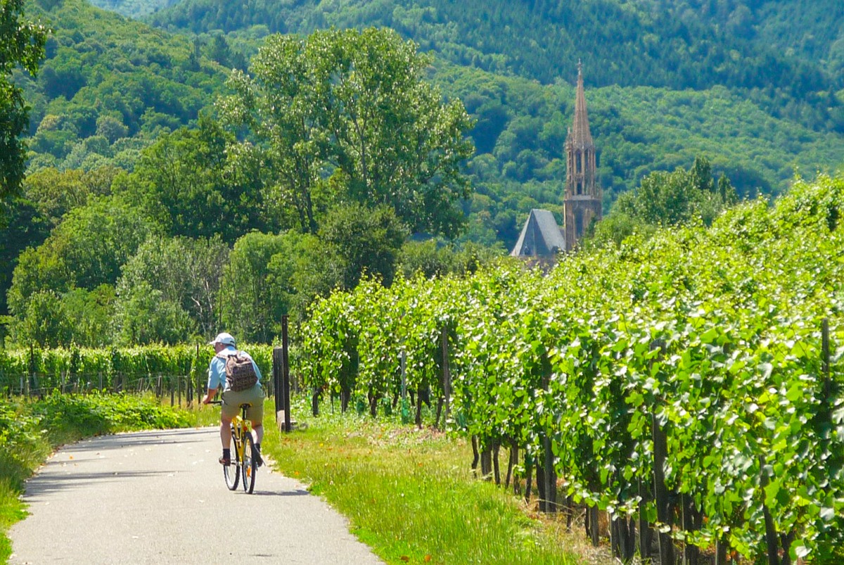 Balade vélo sur une des plus belles pistes cyclables d'Alsace près de Thann © French Moments