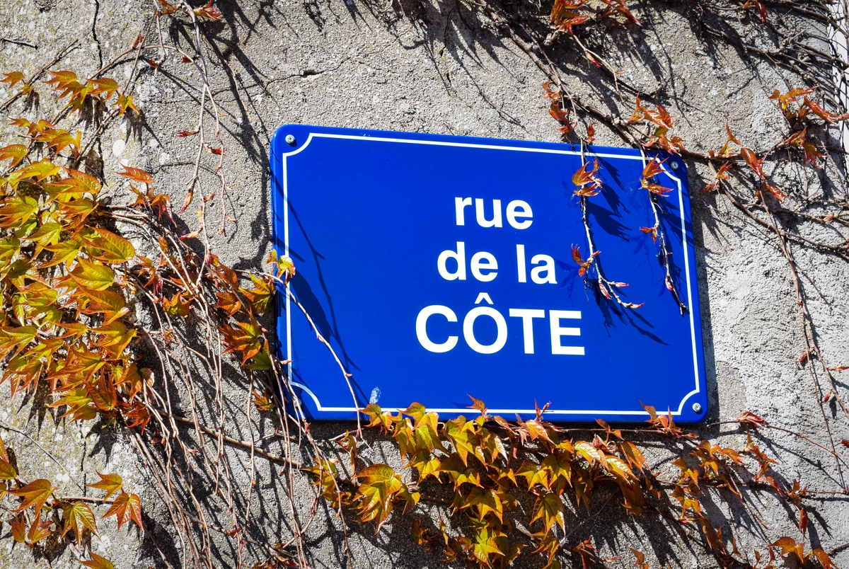 Rue de la Côte à Nancy © French Moments