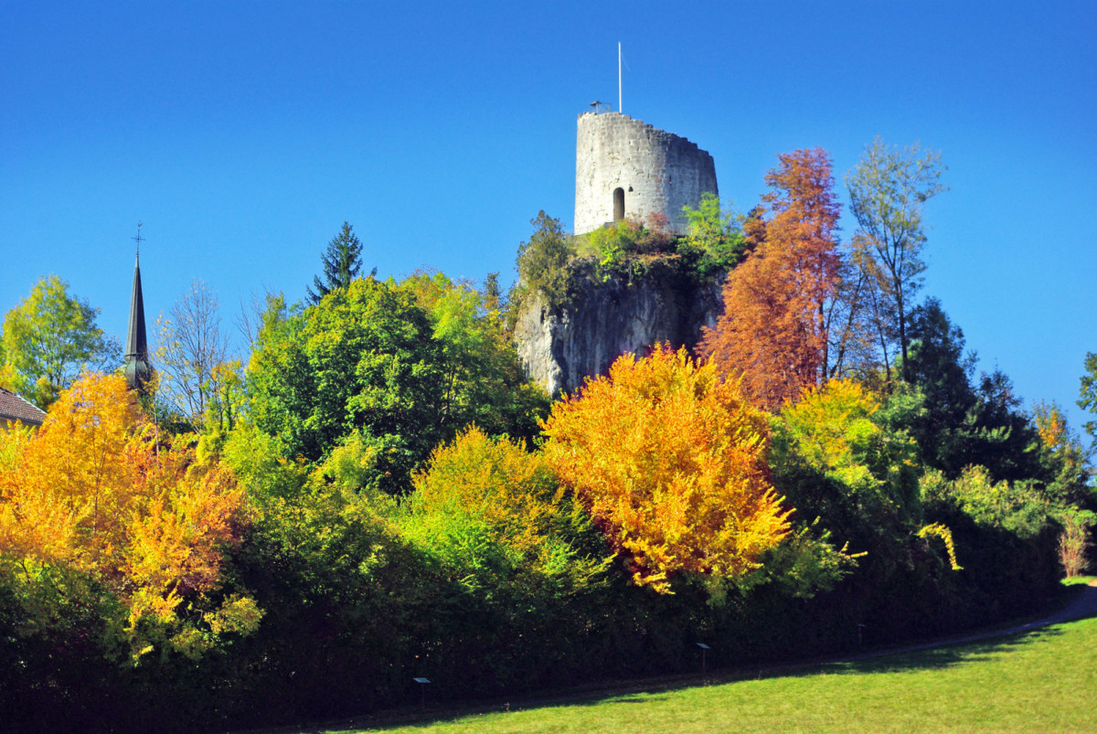 Châteaux de Savoie : la Roche-sur-Foron © French Moments