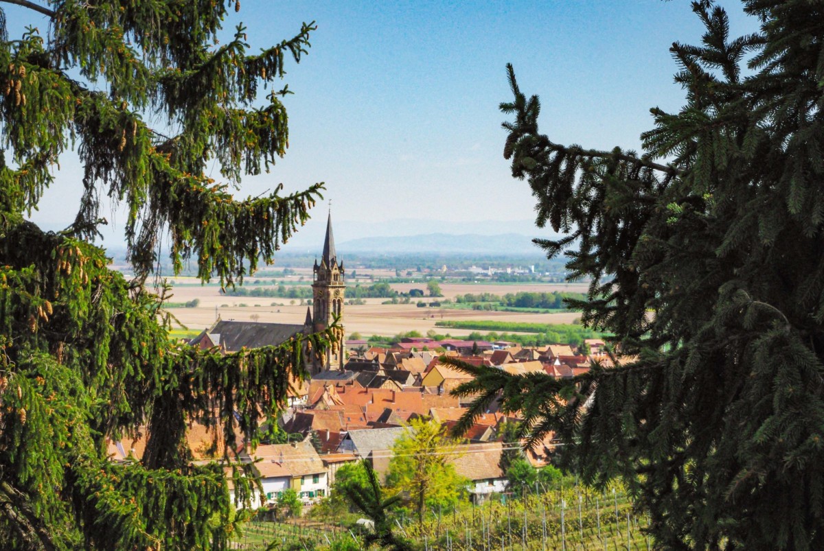 Vue de Dambach-la-Ville depuis le vignoble © French Moments