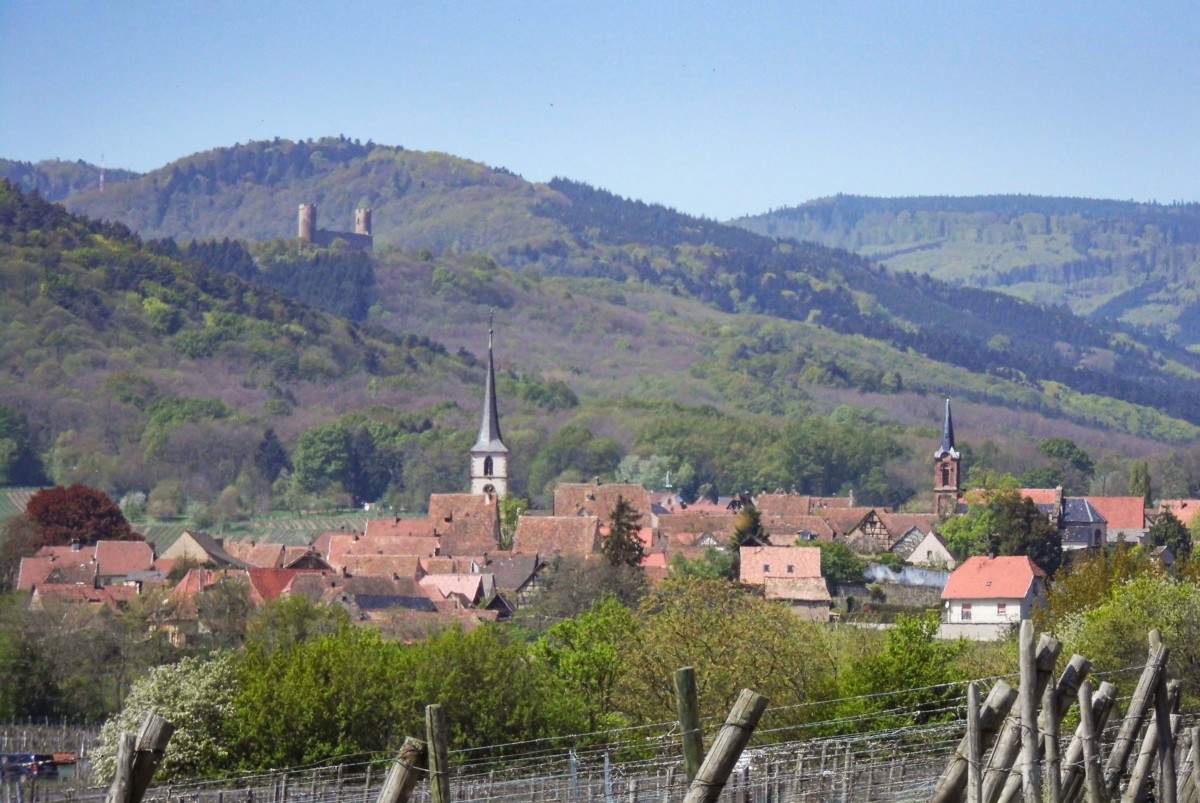 Mittelbergheim © jean marc GAIJEAN - licence [CC BY 3.0] from Wikimedia Commons