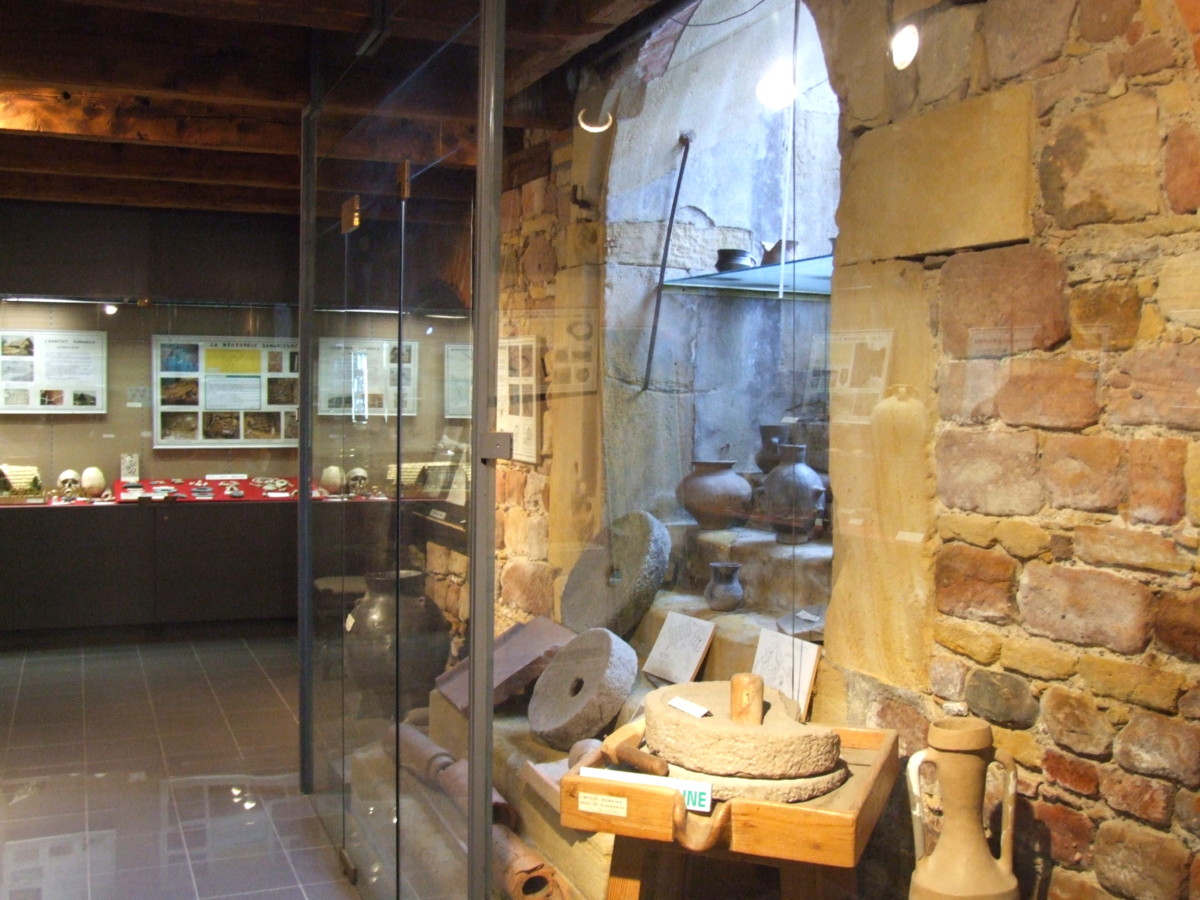 La section archéologique du Musée de la Régence © Stéphane Esquirol - licence [CC BY-SA 4.0] from Wikimedia Commons
