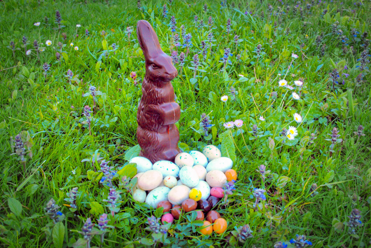 La guerre de Pâques - avantage au bunny ? © French Moments