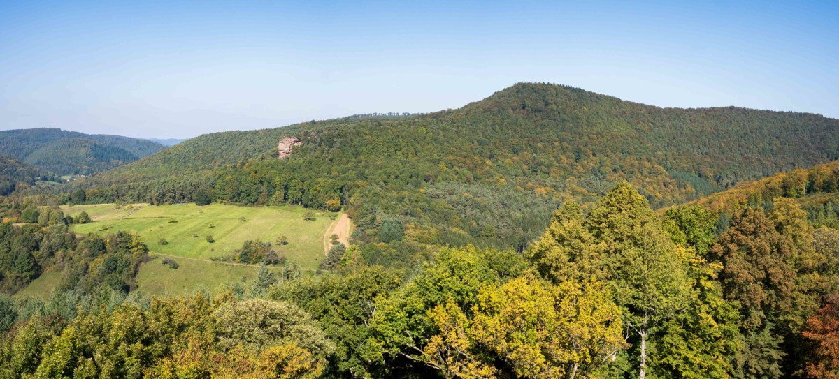 La vue sur les Vosges du Nord du Fleckenstein © Reinhold Möller - licence [CC BY-SA 4.0] from Wikimedia Commons