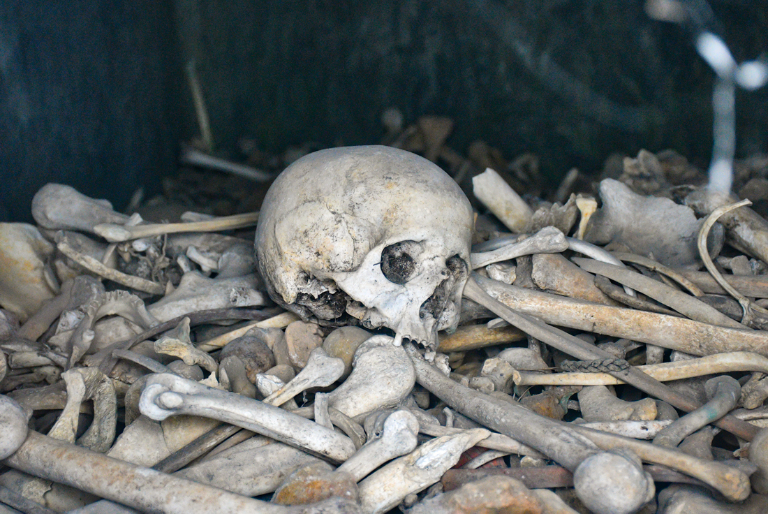 Ossements à l'Ossuaire de Douaumont © French Moments