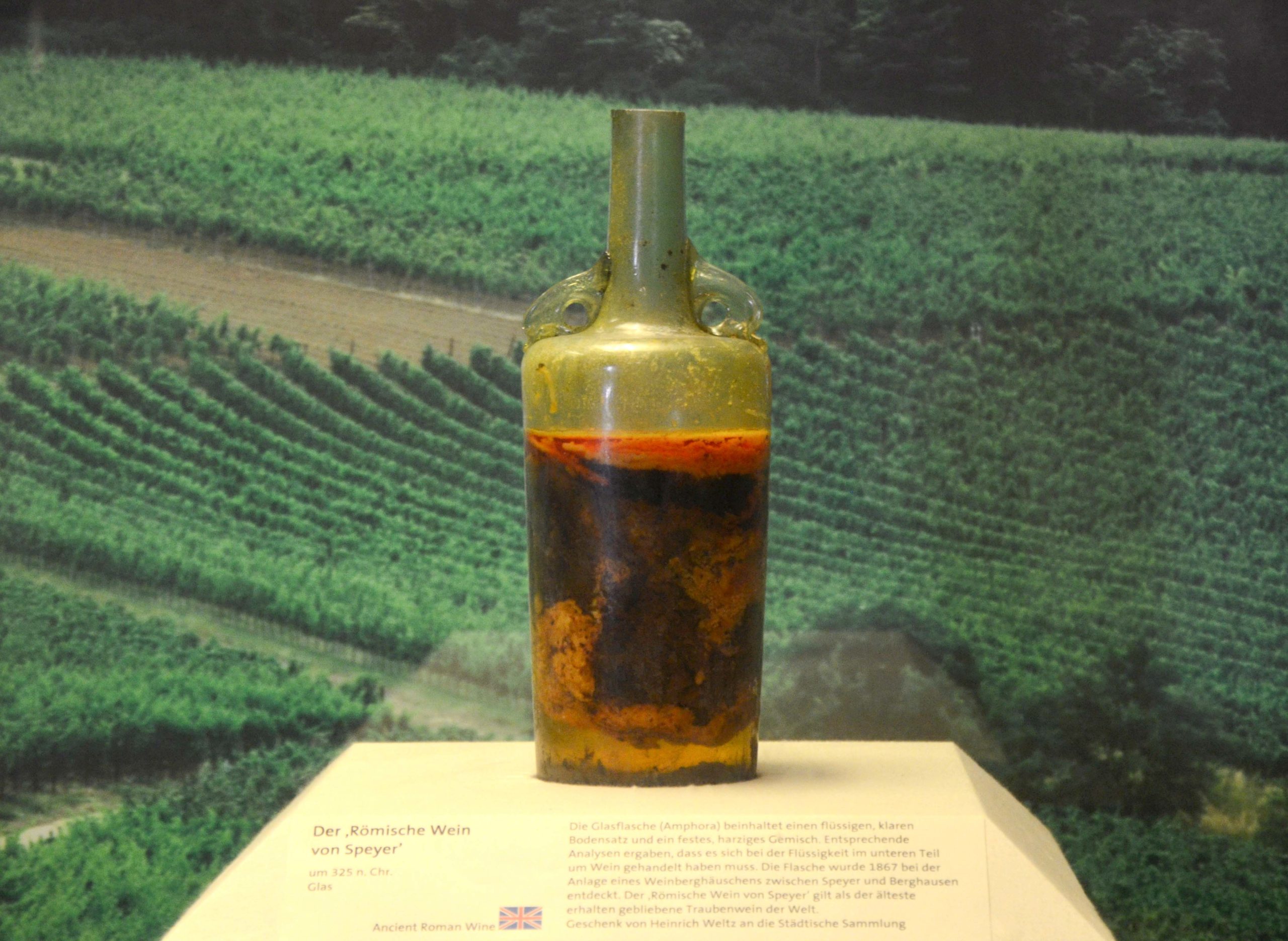 Le plus vieux vin du monde à Spire en Allemagne © Carole Raddato - licence [CC BY-SA 2.0] from Wikimedia Commons