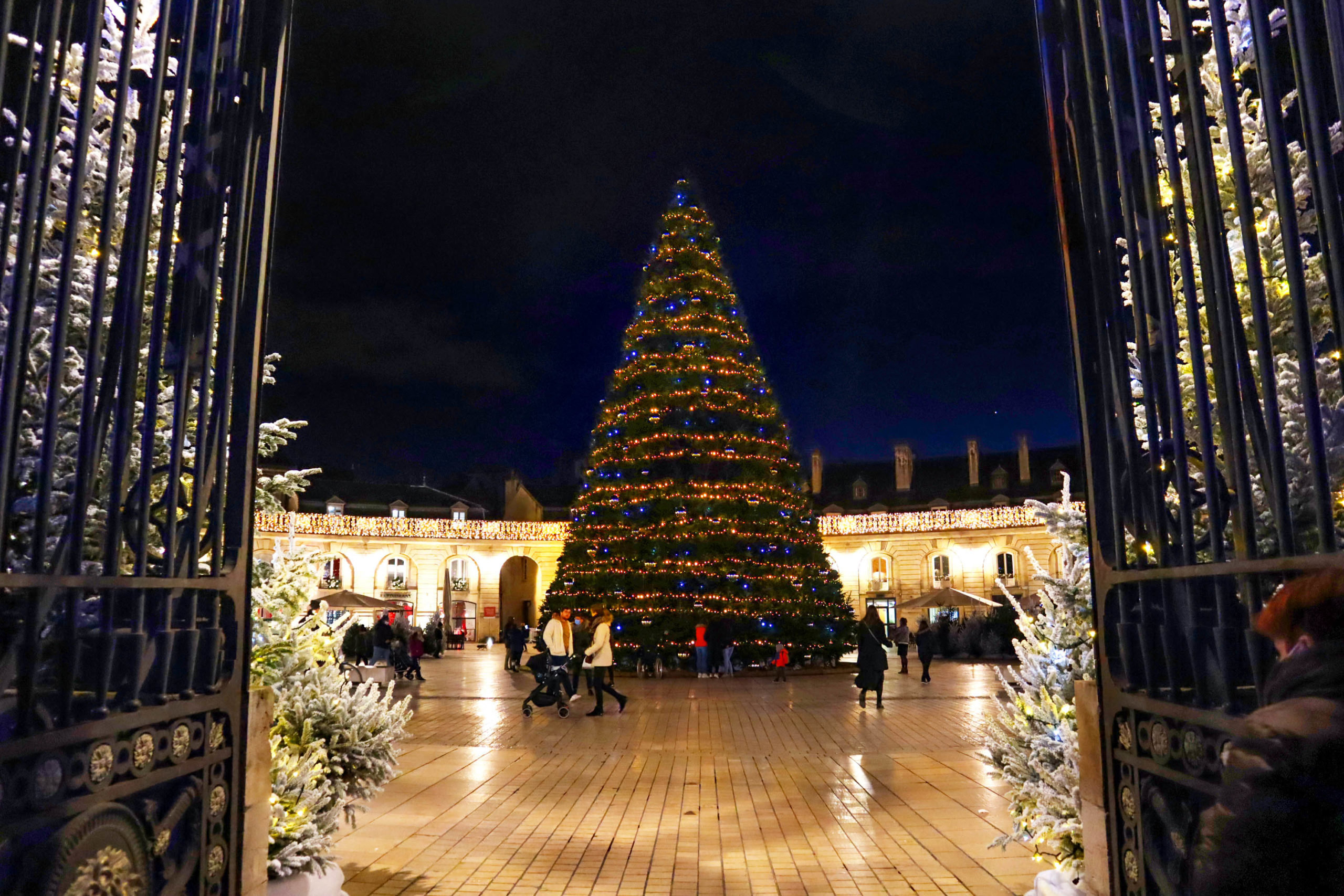 Sapin de Noël de la place de la Libération © Office de Tourisme de Dijon Métropole