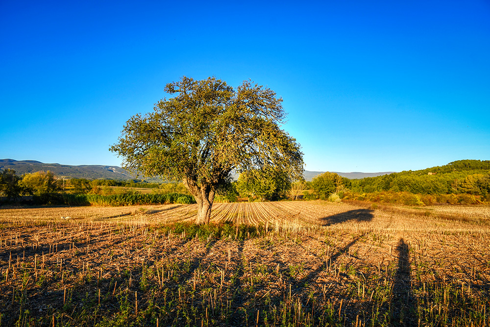 Countryside of Roussillon © French Moments