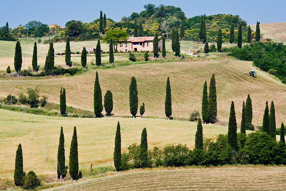 Cypress Trees on Winding Hillside Road by Mint_Images via Envato Elements Paysage de Toscane. Photo par Mint_Images via Envato Elements